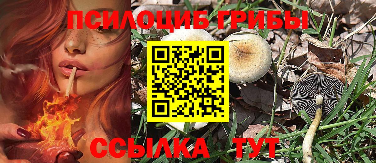 Псилоцибиновые грибы Magic Shrooms Биробиджан