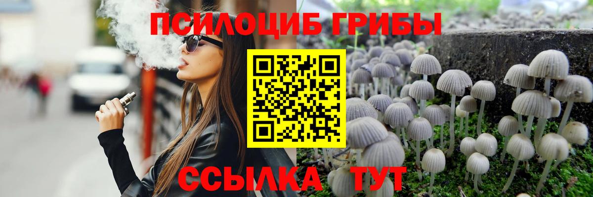 Биробиджан  Галлюциногенные грибы Magic Shrooms  Псилоцибиновые грибы мицелий  Вход с VPN 